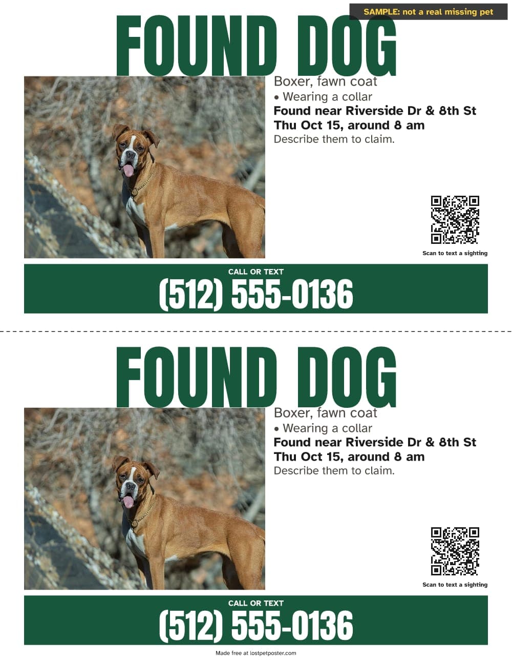 SAMPLE, not a real missing pet: FOUND DOG flyer with a green band for a fawn boxer