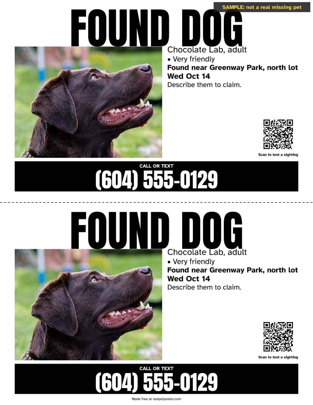 SAMPLE, not a real missing pet: black and white FOUND DOG flyer for a chocolate Labrador