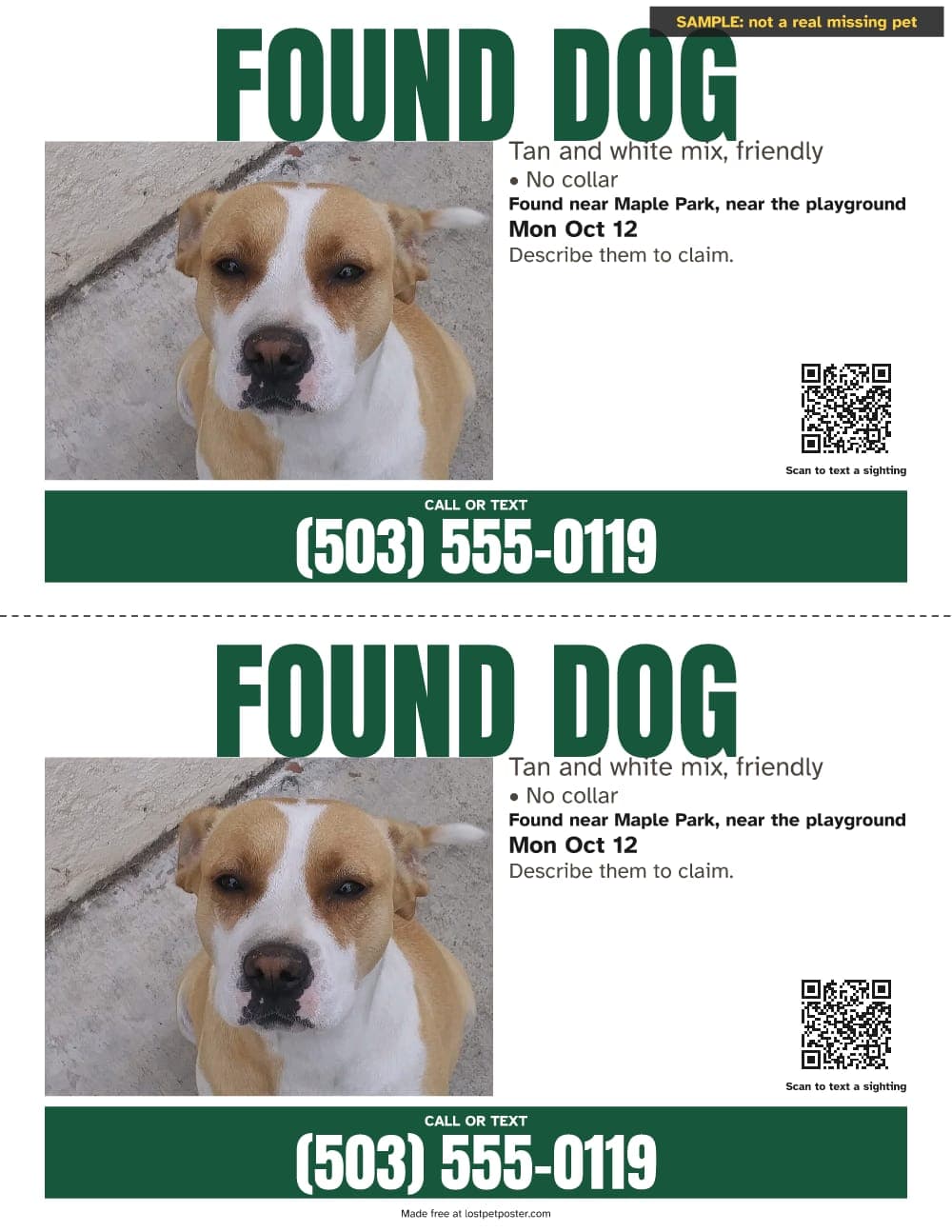 SAMPLE, not a real missing pet: two FOUND DOG flyers on one sheet with a green phone band