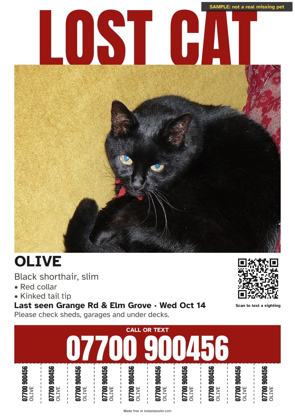 SAMPLE, not a real missing pet: LOST CAT poster for a black cat named Olive with a red collar