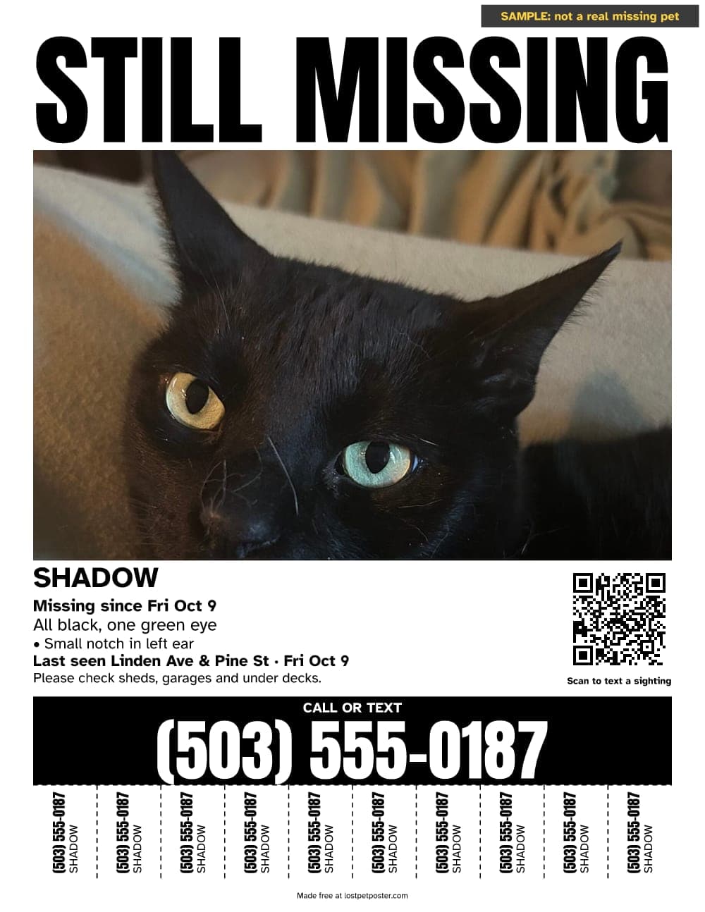 SAMPLE, not a real missing pet: STILL MISSING poster in black and white for a black cat named Shadow