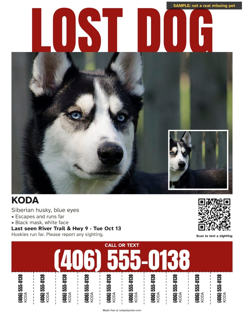 SAMPLE, not a real missing pet: LOST DOG poster for a husky named Koda with two photos