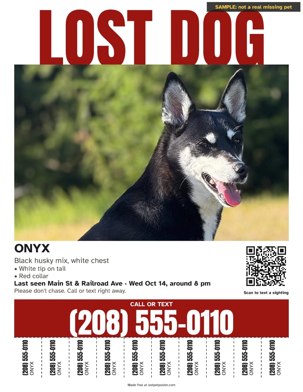 SAMPLE, not a real missing pet: LOST DOG poster for a black husky mix named Onyx