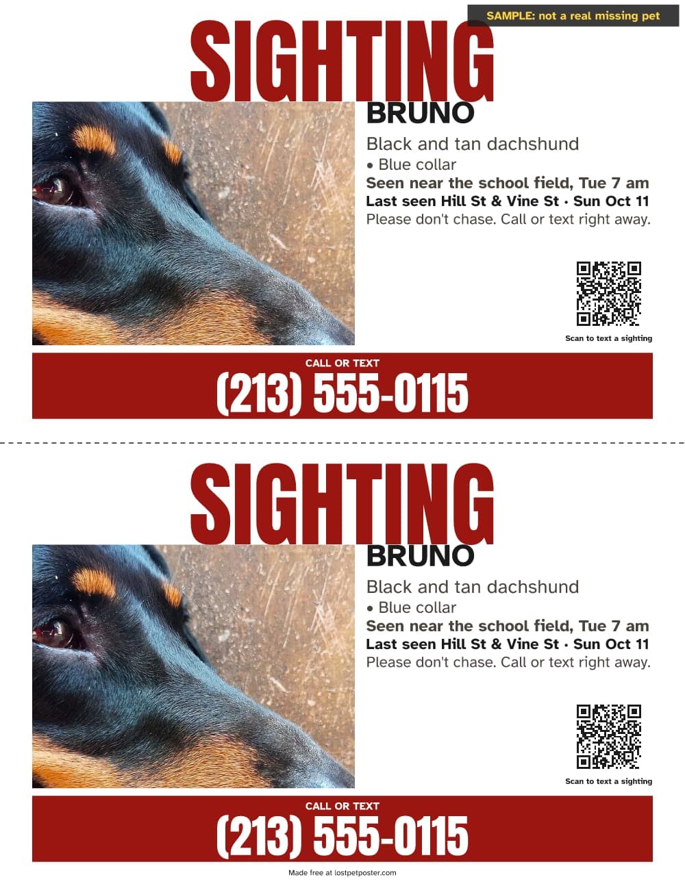 SAMPLE, not a real missing pet: SIGHTING flyer update for a black and tan dachshund named Bruno