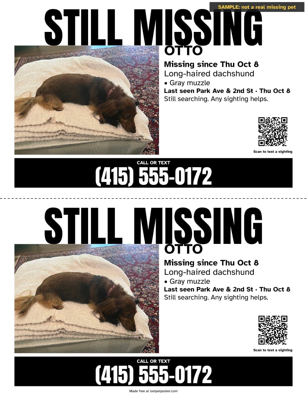 SAMPLE, not a real missing pet: STILL MISSING flyer update for a long-haired dachshund named Otto