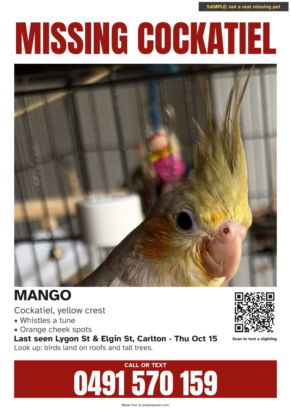 SAMPLE, not a real missing pet: MISSING COCKATIEL poster for a bird named Mango