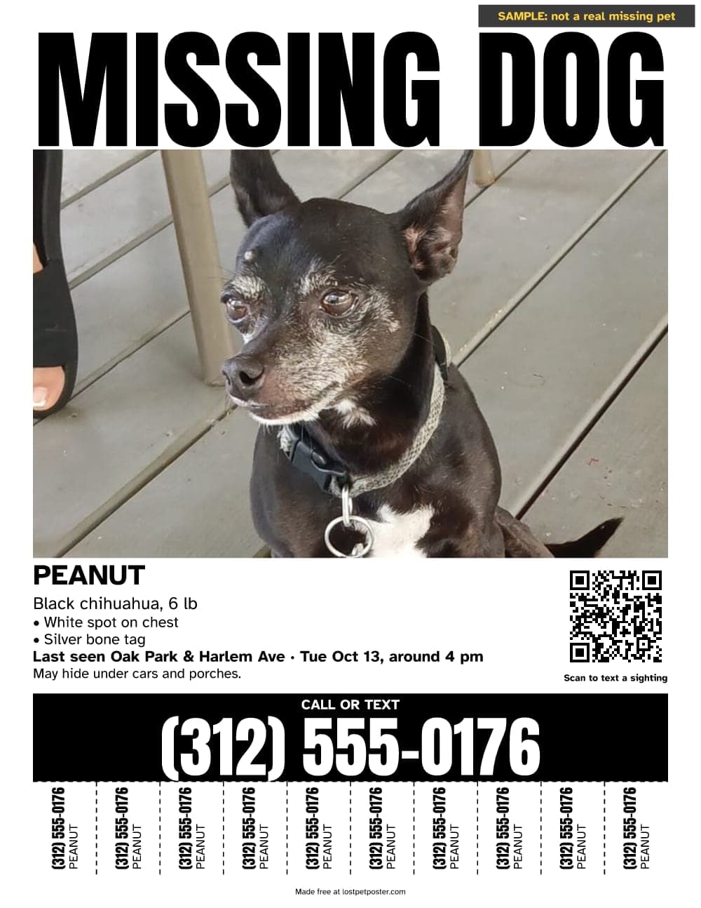 SAMPLE, not a real missing pet: black and white MISSING DOG poster for a small black chihuahua named Peanut