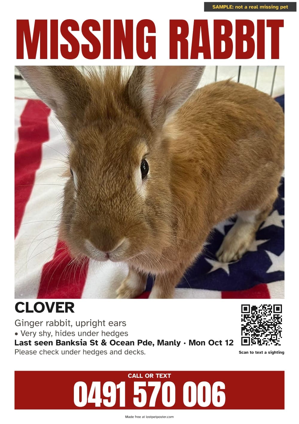 SAMPLE, not a real missing pet: MISSING RABBIT poster for a ginger rabbit named Clover