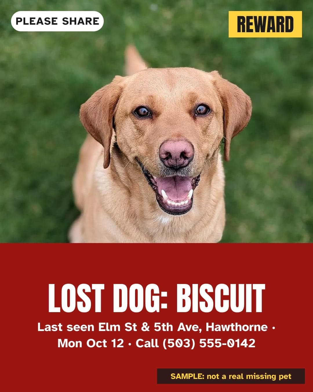 SAMPLE, not a real missing pet: alert image for Facebook feed