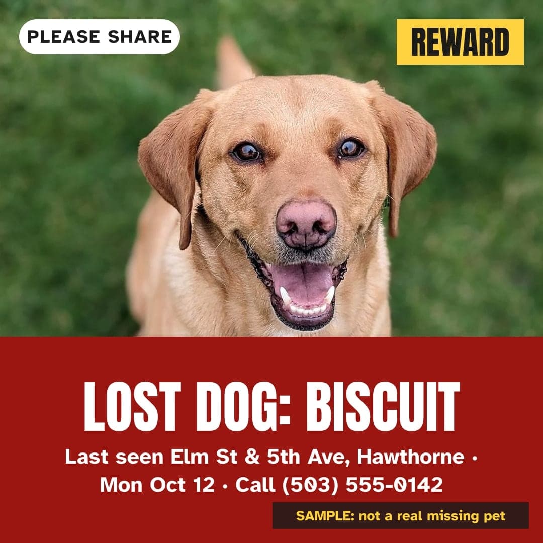 SAMPLE, not a real missing pet: alert image for Facebook groups and Nextdoor